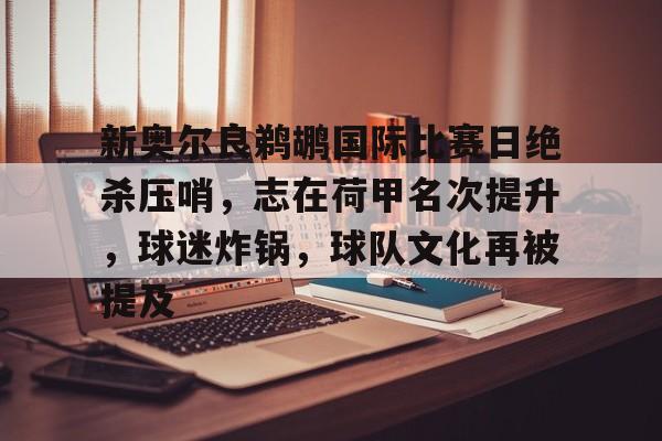 九游娱乐官网-新奥尔良鹈鹕国际比赛日绝杀压哨，志在荷甲名次提升，球迷炸锅，球队文化再被提及的简单介绍